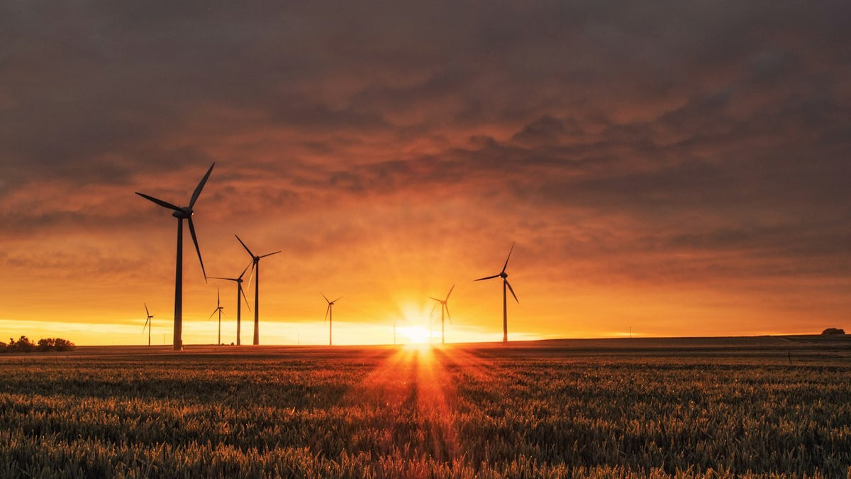 Sustainable and Green Supply Chain Practices